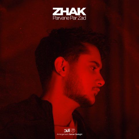 دانلود آهنگ دوست دارم اینو الان جلو همه میگم Zhak Parvane Par Zad Musicya.ir دانلود آهنگ دوست دارم اینو الان جلو همه میگم